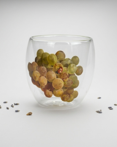 VASO DE VIDRIO DOBLE PARED 250 ml - Flor II
