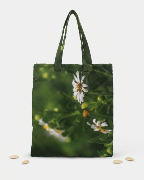 TOTE - Lucre II