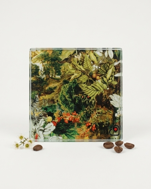 POSAVASOS x 6 - Julia I