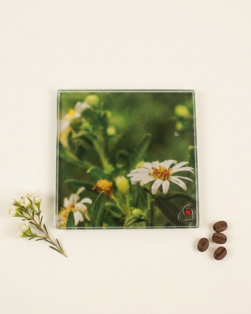 POSAVASOS x 6 - Lucre I