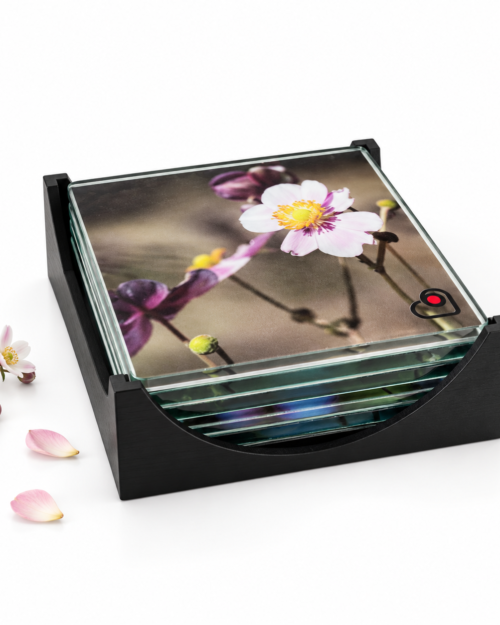 Set de 6 POSAVASOS (10x10 cm) - Lucrecia II